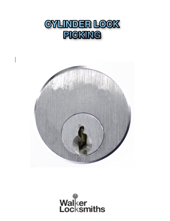 20-piece Champion pick set with free "how to pick cylinder locks" - Image 2