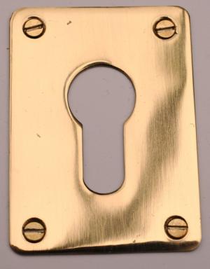 polished brass screw fixed escutcheon EJEPBSF