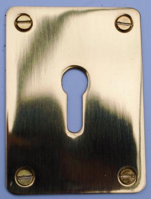 Polished brass screw fix escutcheon EJMPBSF